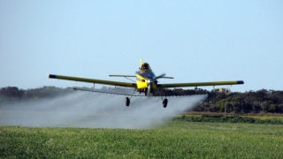 Spraying Fungicide