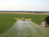 Airtractor AT-502 - Spraying