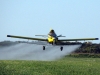 Spraying Fungicide